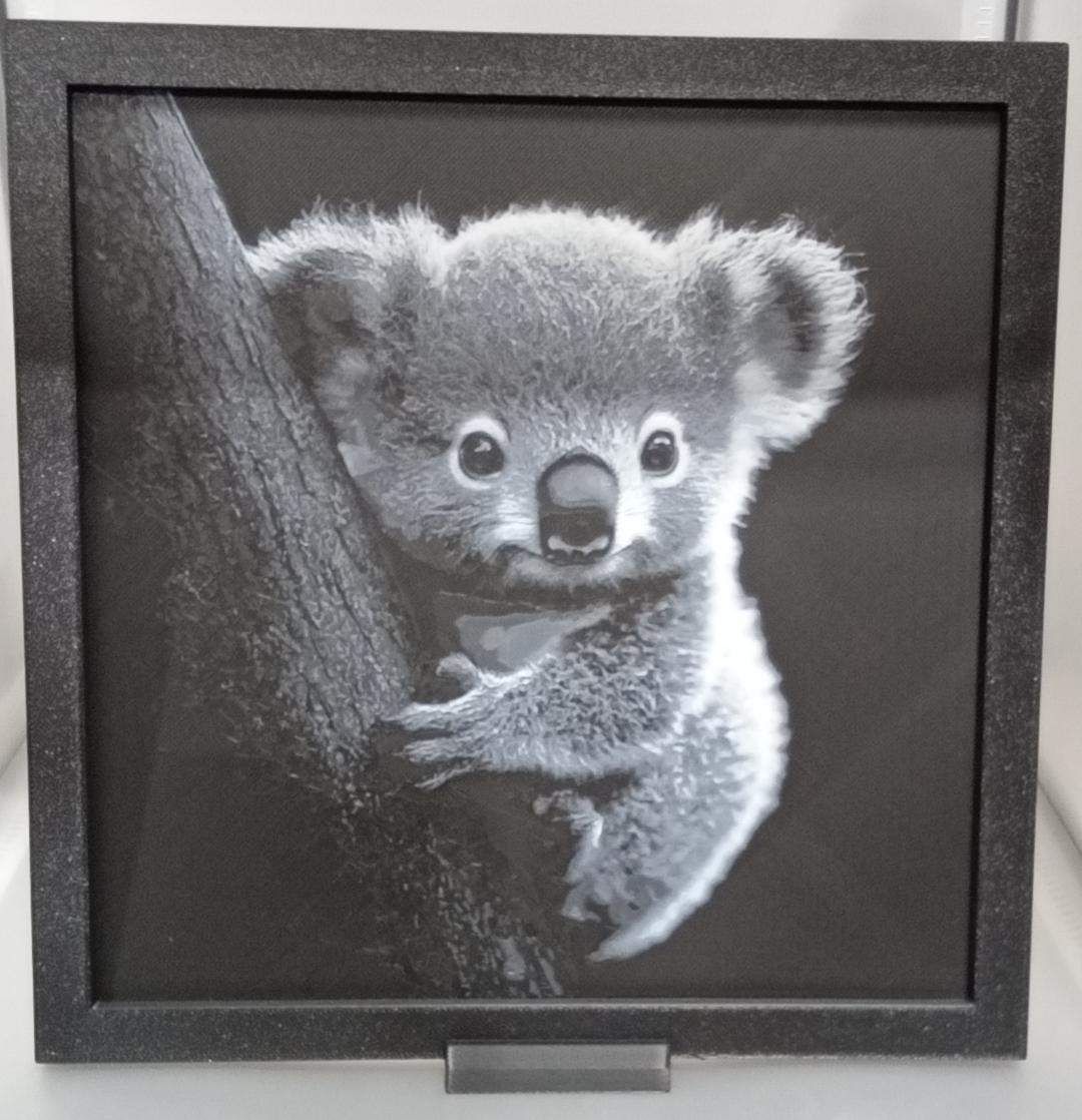 Koala 8x8 w/stand (3D printed)