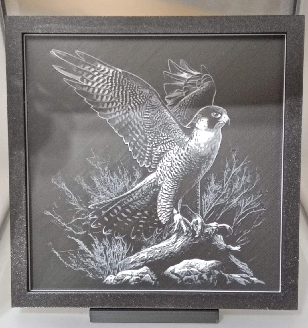 Hawk on a branch 8x8 w/stand (3D printed)